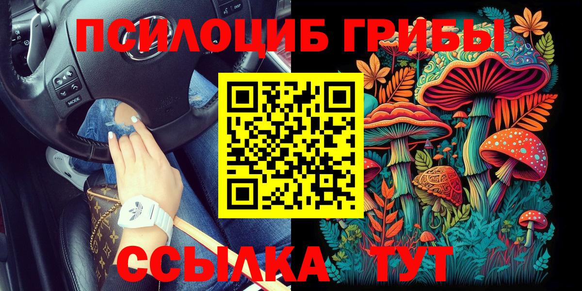 Галлюциногенные грибы мицелий Муром